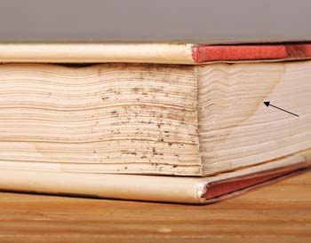 Books Gone Bad-Case Studies